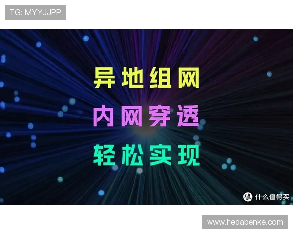 壹号下载安装的详细流程介绍，帮助新手用户快速上手软件使用