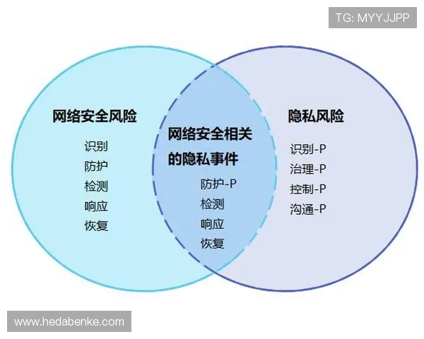 壹号信息官网:数据安全保障与隐私保护政策说明